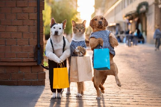 台南萌寵物用品展 聯手百大品牌震撼優惠!