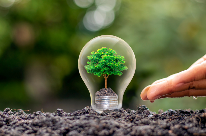 新竹首檔超越百貨週年慶政府補助減徵貨物稅原廠加碼再省萬元